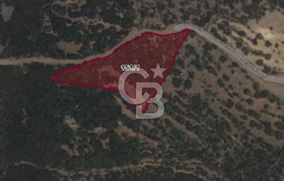 CB Odak'tan Karakuzu'da yola cepheli 4.530 m2 satılık tarla