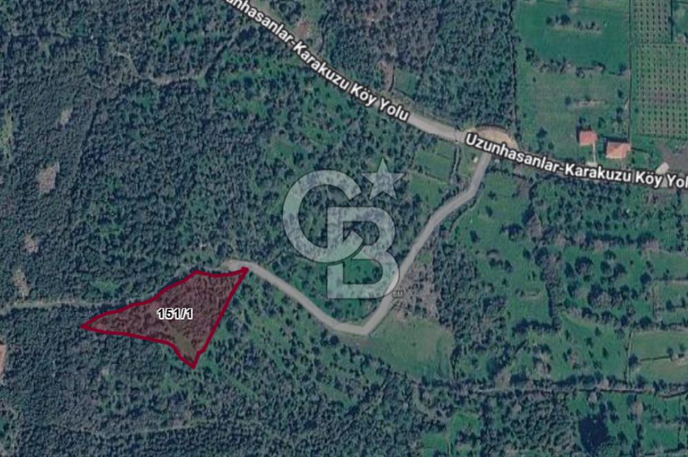 CB Odak'tan Karakuzu'da yola cepheli 4.530 m2 satılık tarla
