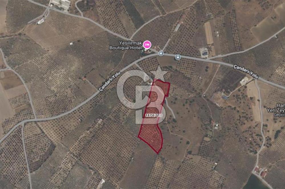 ÇANDARLI'DA SATILIK (700 m²) TARLA HİSSESİ