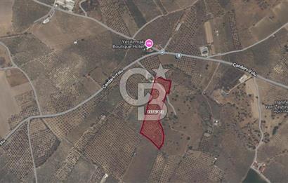 ÇANDARLI'DA SATILIK (700 m²) TARLA HİSSESİ