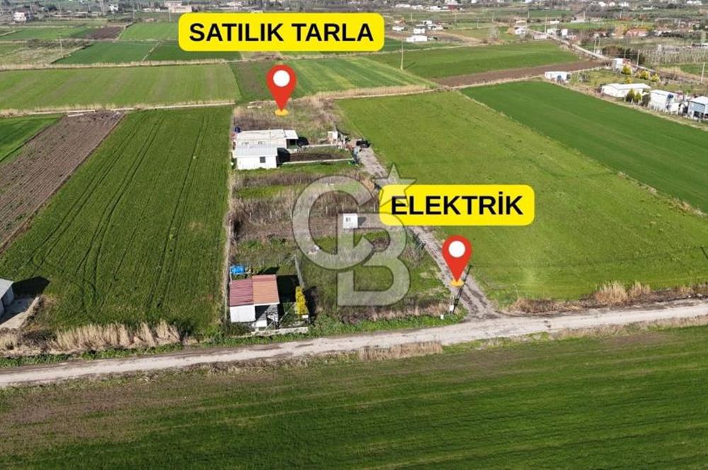 İzmir Menemen Türkelli 924 metrekare satılık tarla