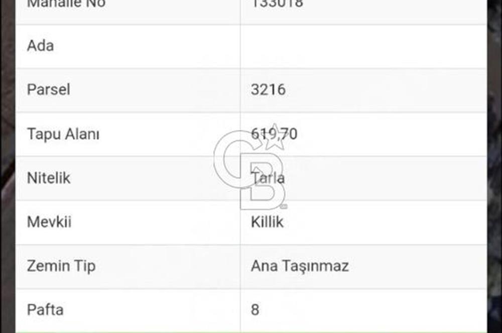 CB CLASS KARACABEY CANBAZ KÖYİÇİ İMARLI