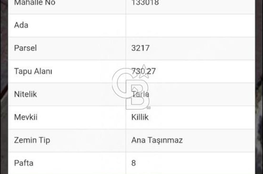 CB CLASS KARACABEY CANBAZ SATILIK NATAMAM VİLLA VE ARSASI
