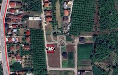 DÜZCE BEYKÖY' DE VİLLA İMARLI ARSA