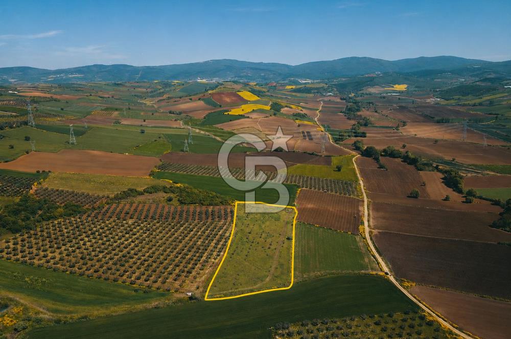 KARACABEY DAĞKADI DA SATILIK TARLA