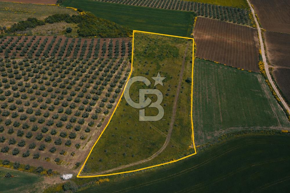 KARACABEY DAĞKADI DA SATILIK TARLA