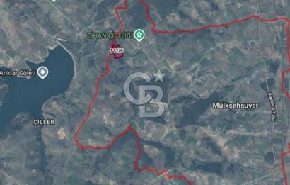 KOCAELİ KANDIRA MÜLKÜŞEHSUVARDA 21561 M2 SATILIK TARLA