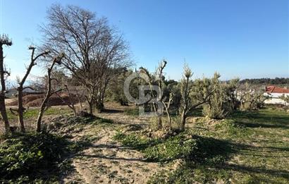 MUDANYA YAYLACIK KÖY MEYDANINDA ASFALT YOLA CEPHE
