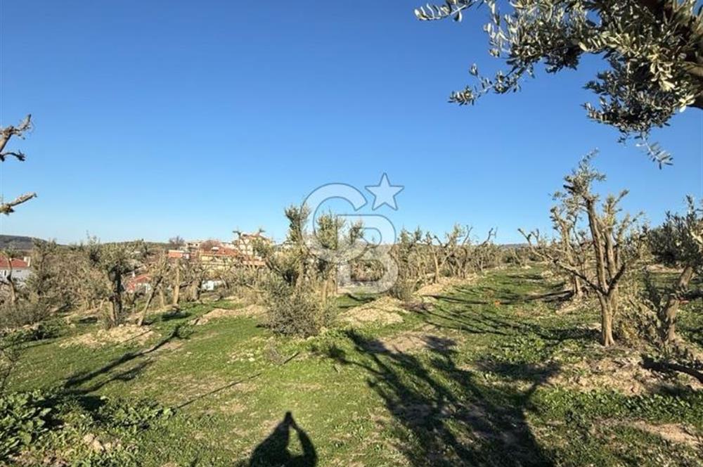 MUDANYA YAYLACIK KÖY MEYDANINDA ASFALT YOLA CEPHE