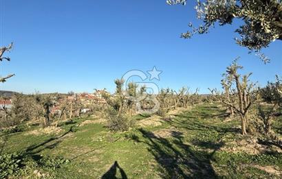 MUDANYA YAYLACIK KÖY MEYDANINDA ASFALT YOLA CEPHE