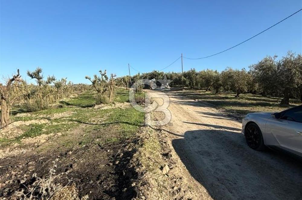 MUDANYA YAYLACIK KÖY MEYDANINDA ASFALT YOLA CEPHE