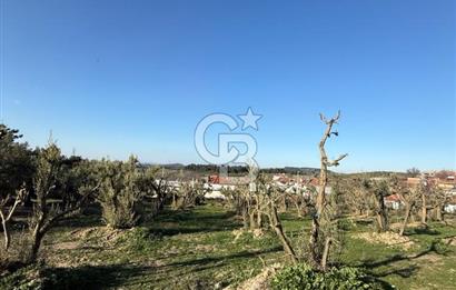 MUDANYA YAYLACIK KÖY MEYDANINDA ASFALT YOLA CEPHE