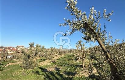 MUDANYA YAYLACIK KÖY MEYDANINDA ASFALT YOLA CEPHE