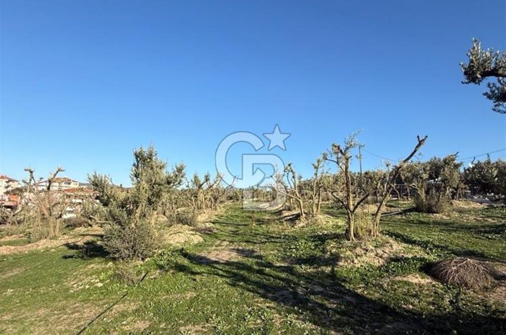MUDANYA YAYLACIK KÖY MEYDANINDA ASFALT YOLA CEPHE