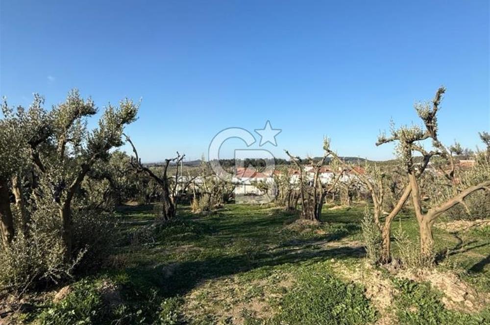 MUDANYA YAYLACIK KÖY MEYDANINDA ASFALT YOLA CEPHE