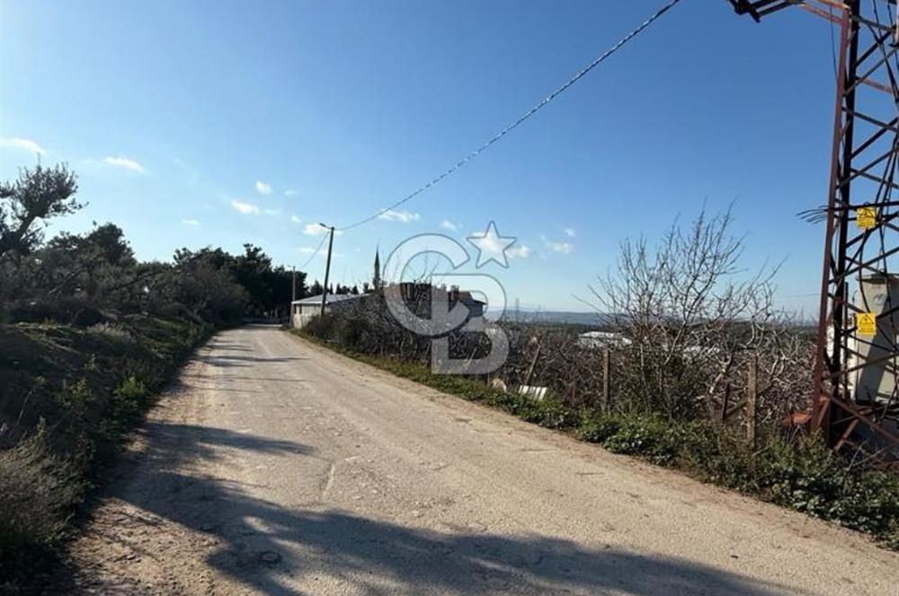 MUDANYA YAYLACIK KÖY MEYDANINDA ASFALT YOLA CEPHE