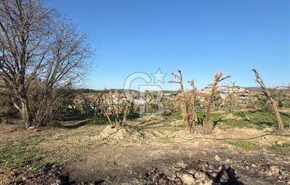MUDANYA YAYLACIK KÖY MEYDANINDA ASFALT YOLA CEPHE