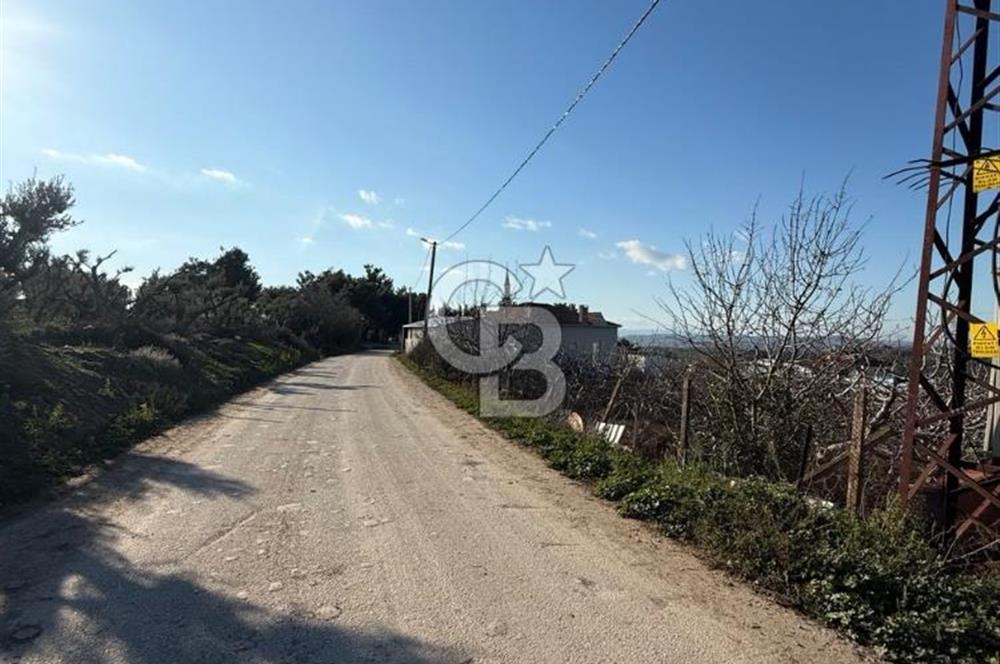 MUDANYA YAYLACIK KÖY MEYDANINDA ASFALT YOLA CEPHE
