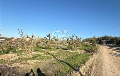 MUDANYA YAYLACIK KÖY MEYDANINDA ASFALT YOLA CEPHE