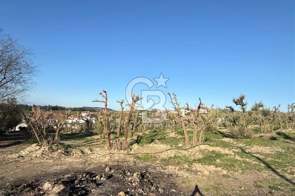 MUDANYA YAYLACIK KÖY MEYDANINDA ASFALT YOLA CEPHE