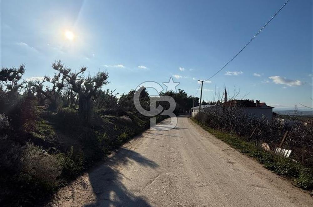 MUDANYA YAYLACIK KÖY MEYDANINDA ASFALT YOLA CEPHE