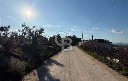MUDANYA YAYLACIK KÖY MEYDANINDA ASFALT YOLA CEPHE