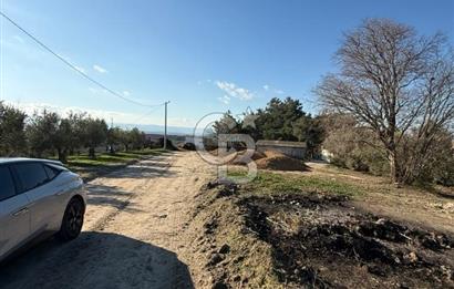 MUDANYA YAYLACIK KÖY MEYDANINDA ASFALT YOLA CEPHE