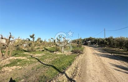 MUDANYA YAYLACIK KÖY MEYDANINDA ASFALT YOLA CEPHE