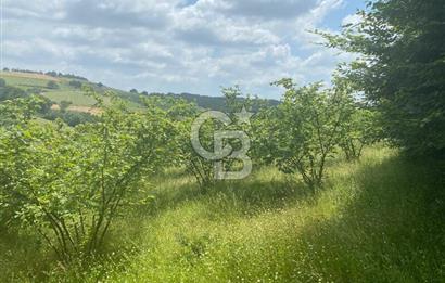 KOCAELİ KANDIRA MÜLKÜŞEHSUVARDA 21561 M2 SATILIK TARLA