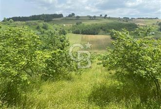 KOCAELİ KANDIRA MÜLKÜŞEHSUVARDA 21561 M2 SATILIK TARLA - 2 - 369992