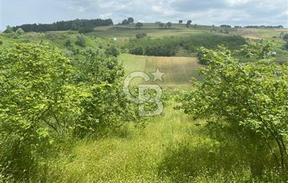 KOCAELİ KANDIRA MÜLKÜŞEHSUVARDA 21561 M2 SATILIK TARLA