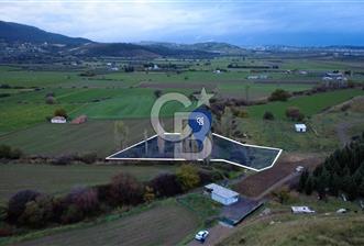 CB ODAKTAN ALİAG GÜZELHİSARDA SATLIK ZEYTİNLİK - 8 - 324057