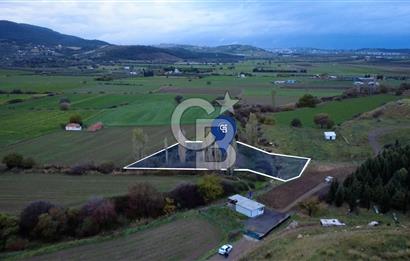 CB ODAKTAN ALİAG GÜZELHİSARDA SATLIK ZEYTİNLİK