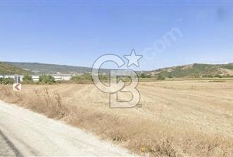 CB CLASS KARACABEY CANBAZ ANAYOLA CEPHE SATILIK TARLA - 2 - 370059
