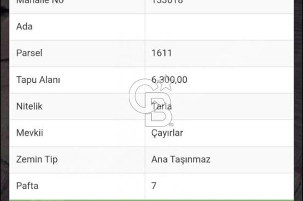 CB CLASS KARACABEY CANBAZ ANAYOLA CEPHE SATILIK TARLA