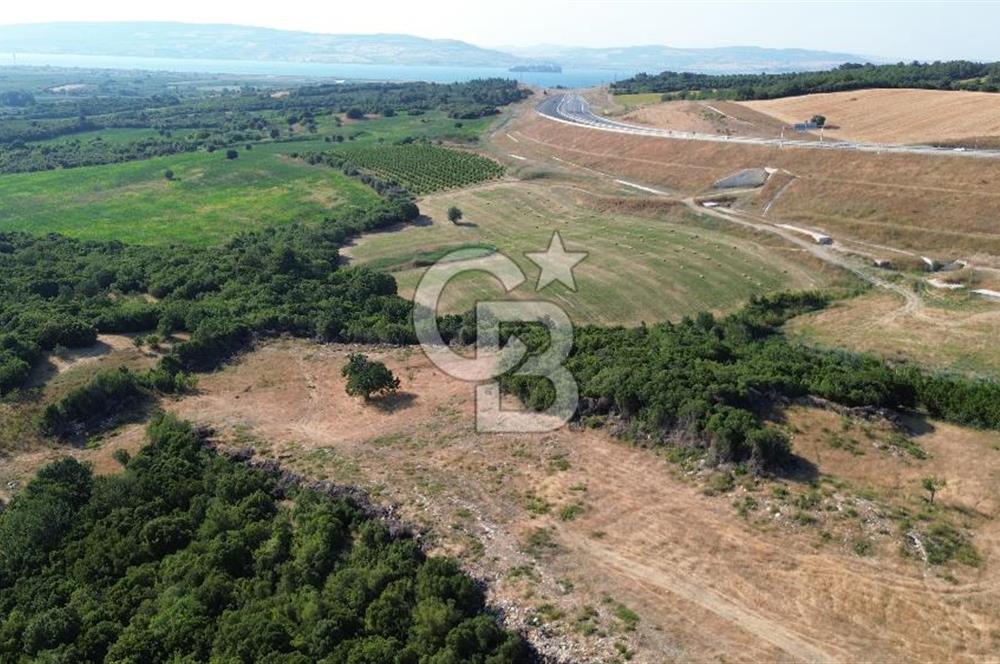 UMURBEY'DE 3 DÖNÜM DENİZ MANZARALI SATILIK TARLA