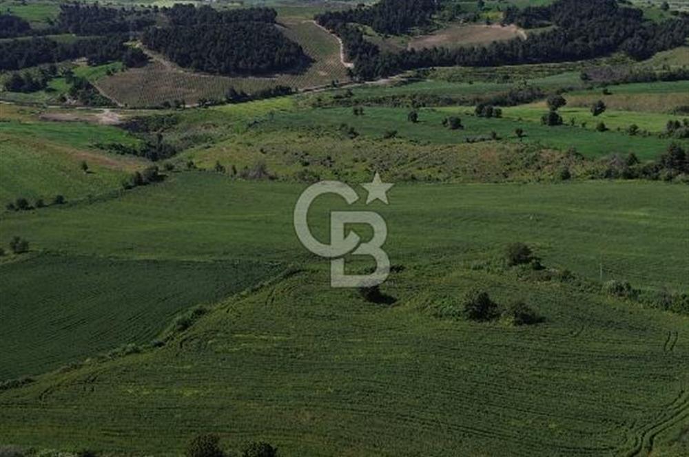 ÇANAKKALE KEMEL KÖYÜNDE DENİZ MANZARALI YATIRIMLIK TARLA