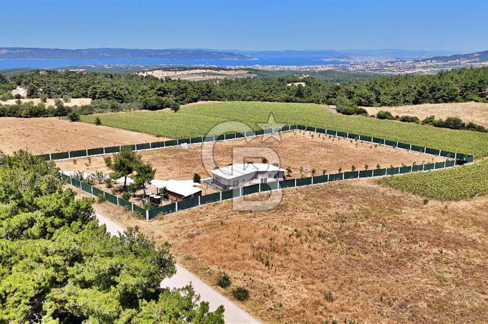 ÇANAKKALE MERKEZ ÇINARLI PRESTİJ 301 M2 TARLA