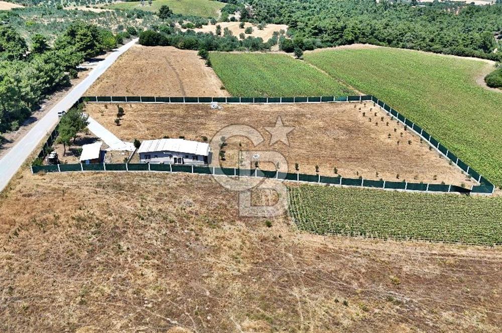 ÇANAKKALE MERKEZ ÇINARLI PRESTİJ 301 M2 TARLA