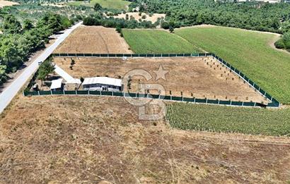 ÇANAKKALE MERKEZ ÇINARLI PRESTİJ 301 M2 TARLA