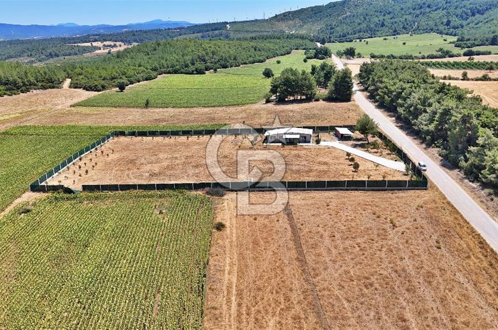 ÇANAKKALE MERKEZ ÇINARLI PRESTİJ 301 M2 TARLA