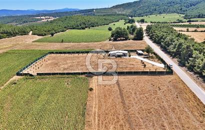 ÇANAKKALE MERKEZ ÇINARLI PRESTİJ 301 M2 TARLA