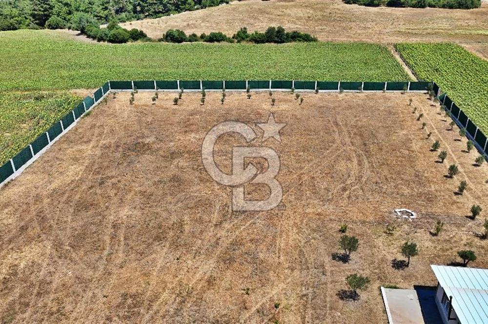 ÇANAKKALE MERKEZ ÇINARLI PRESTİJ 301 M2 TARLA