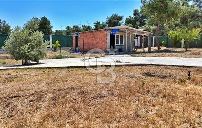 ÇANAKKALE MERKEZ ÇINARLI PRESTİJ 301 M2 TARLA
