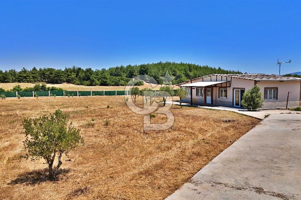 ÇANAKKALE MERKEZ ÇINARLI PRESTİJ 301 M2 TARLA