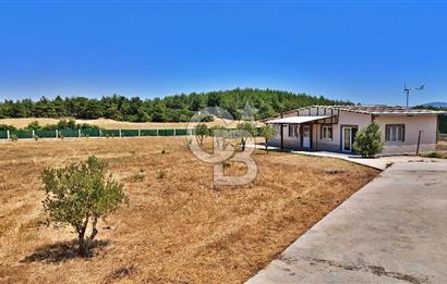ÇANAKKALE MERKEZ ÇINARLI PRESTİJ 301 M2 TARLA