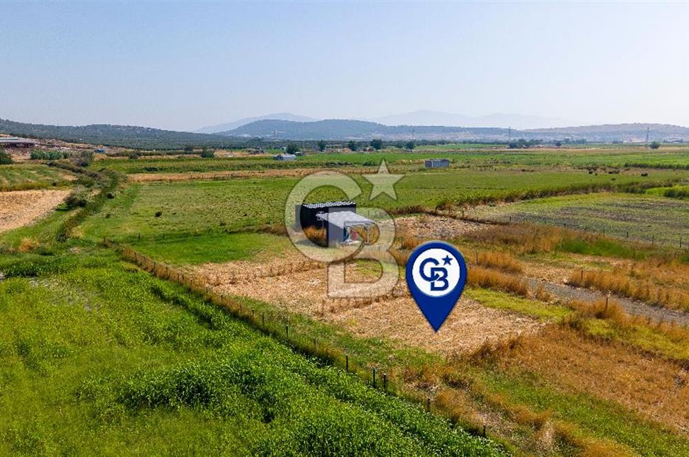 Foça Gerenköy'de Satılık Tarla