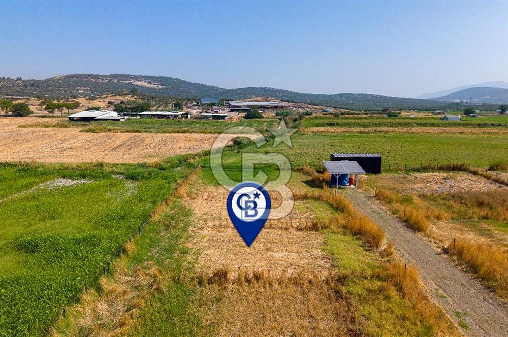Foça Gerenköy'de Satılık Tarla