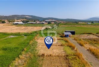 Foça Gerenköy'de Satılık Tarla - 7 - 370114