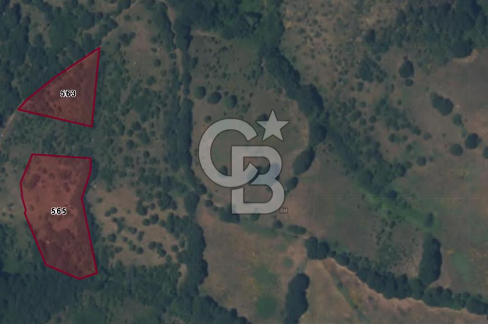 ÇANAKKALE BİGA SARISIVATTA KÖYE YAKIN 1.850 M² YATIRIMLIK TARLA